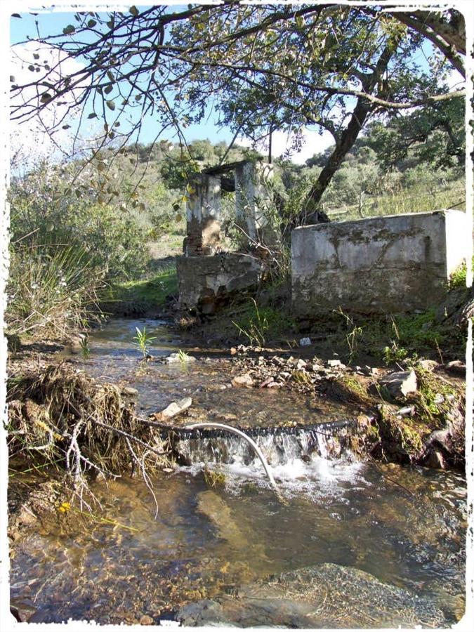 Cortijo Casas Viejas Villa Málaga Dış mekan fotoğraf